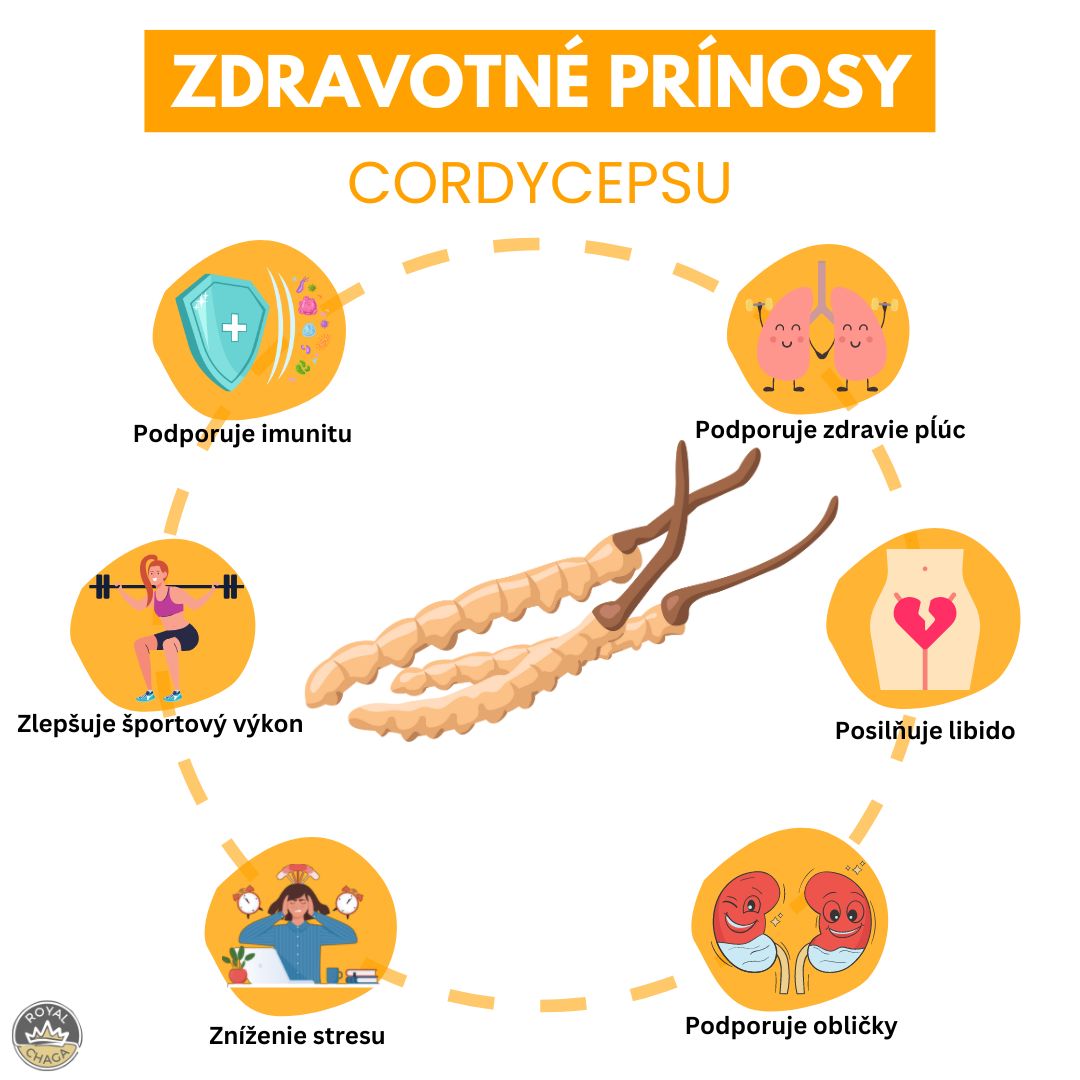 Zdravotné prínosy Cordycepsu